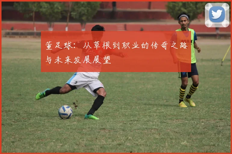 董足球：从草根到职业的传奇之路与未来发展展望