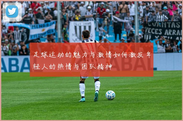足球运动的魅力与激情如何激发年轻人的热情与团队精神