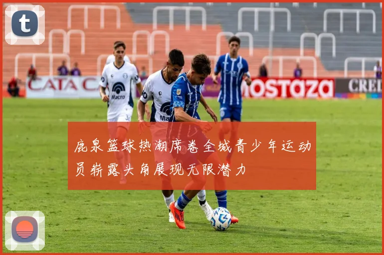 鹿泉篮球热潮席卷全城青少年运动员崭露头角展现无限潜力