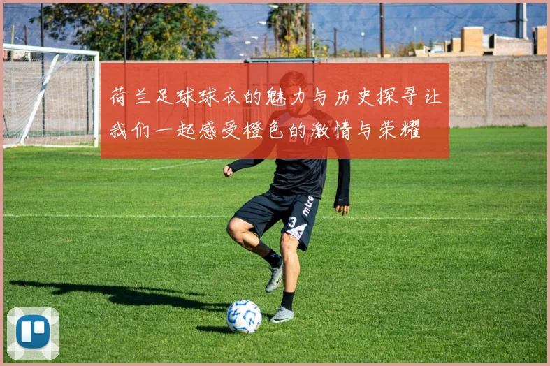 荷兰足球球衣的魅力与历史探寻让我们一起感受橙色的激情与荣耀